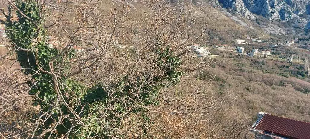 Land for Sale in Budva - foto 9
