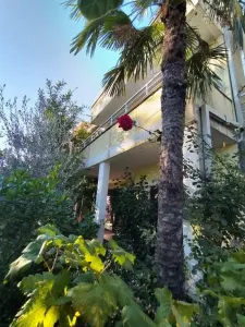 House for Sale in Budva - foto 2