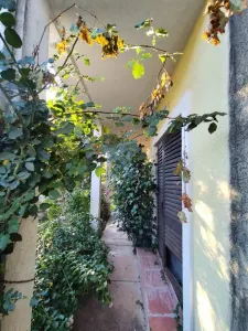 House for Sale in Budva - foto 7