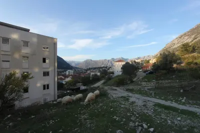 Land for Sale in Kotor - foto 11