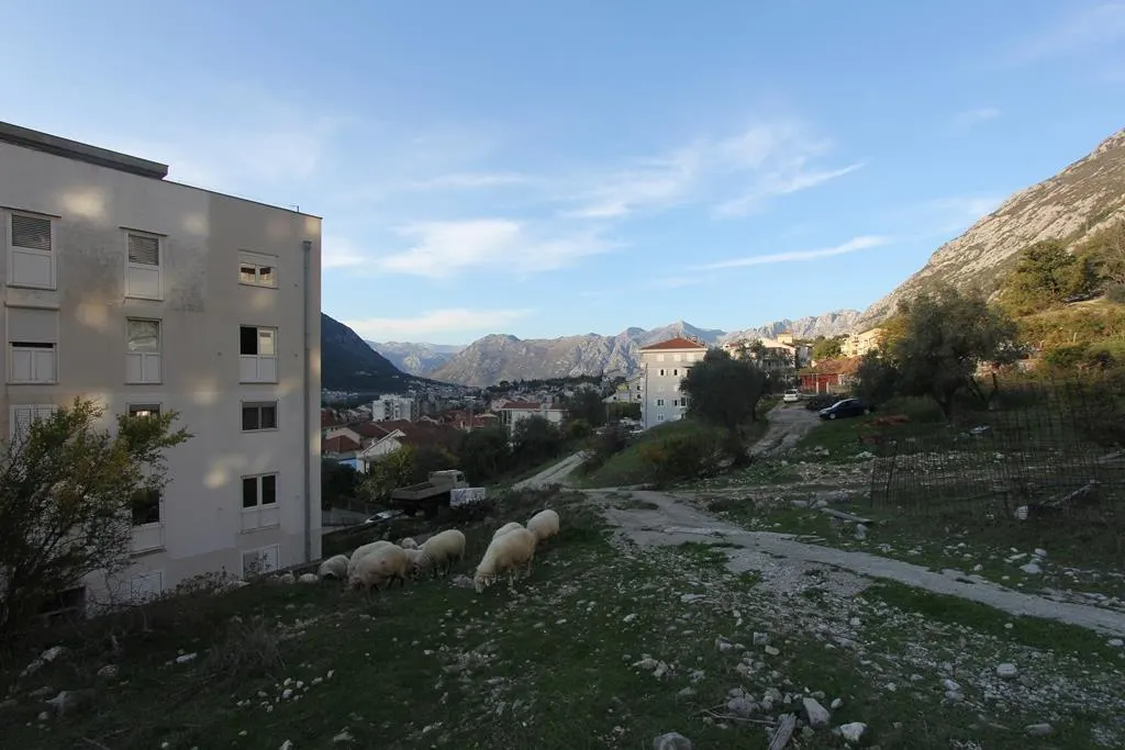 Land for Sale in Kotor - foto 11
