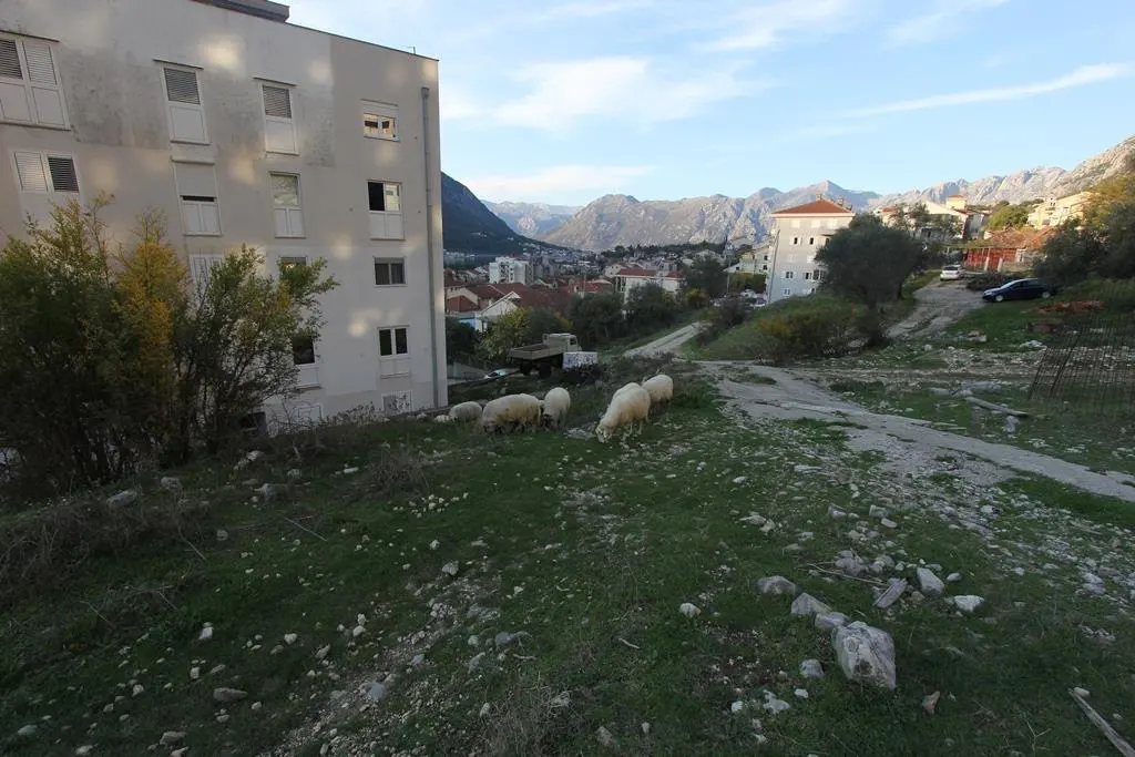 Land for Sale in Kotor - foto 10