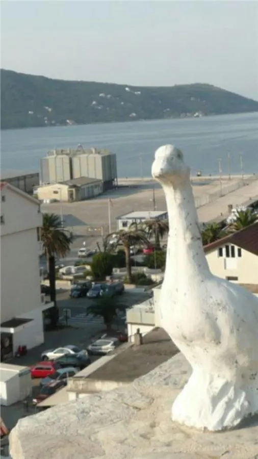 Land for Sale in Herceg-Novi - foto 23