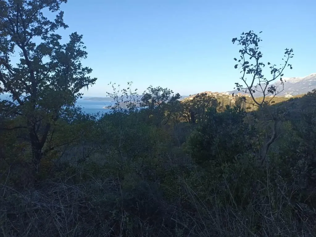 Land for Sale in Budva - foto 2