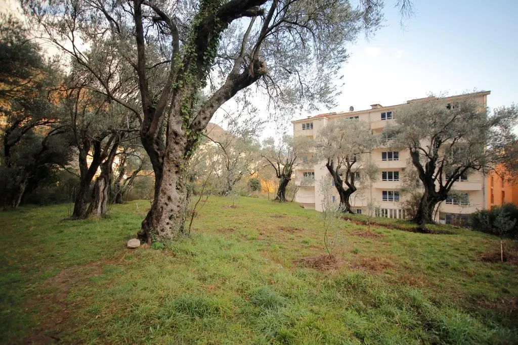 Land for Sale in Budva - foto 1