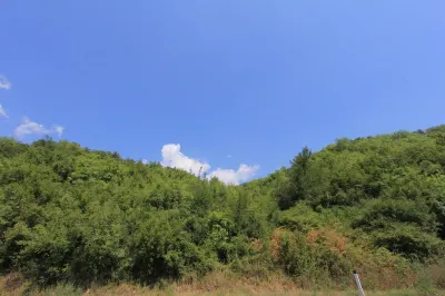 Land for Sale in Kotor - Kotor