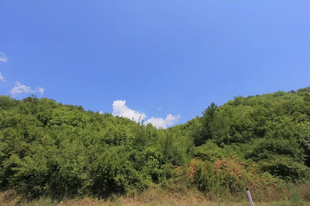 Land for Sale in Kotor - foto 1