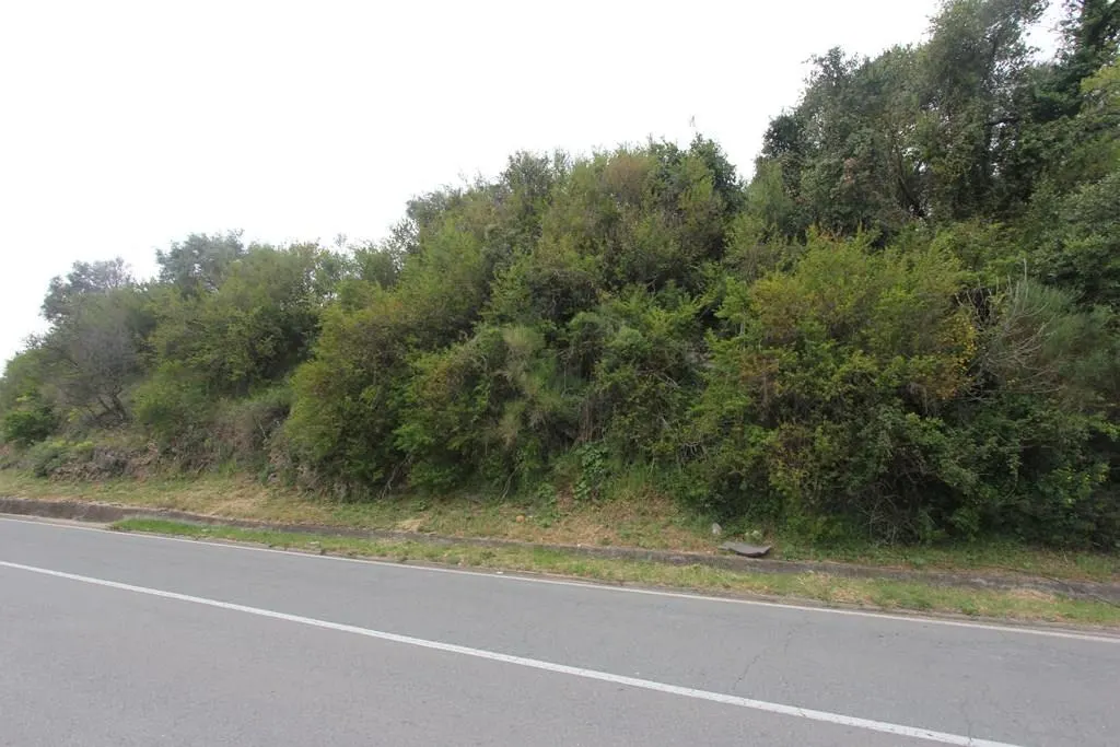 Land for Sale in Herceg-Novi - foto 3