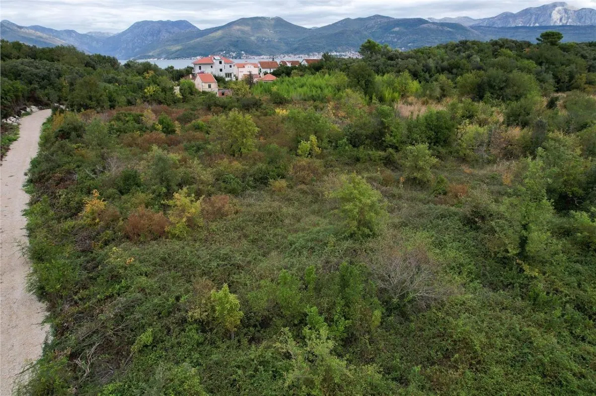 Land for Sale in Tivat - foto 13