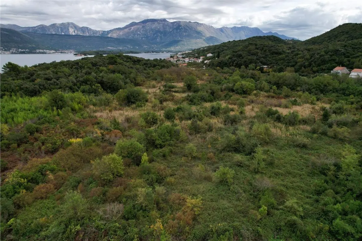 Land for Sale in Tivat - foto 3