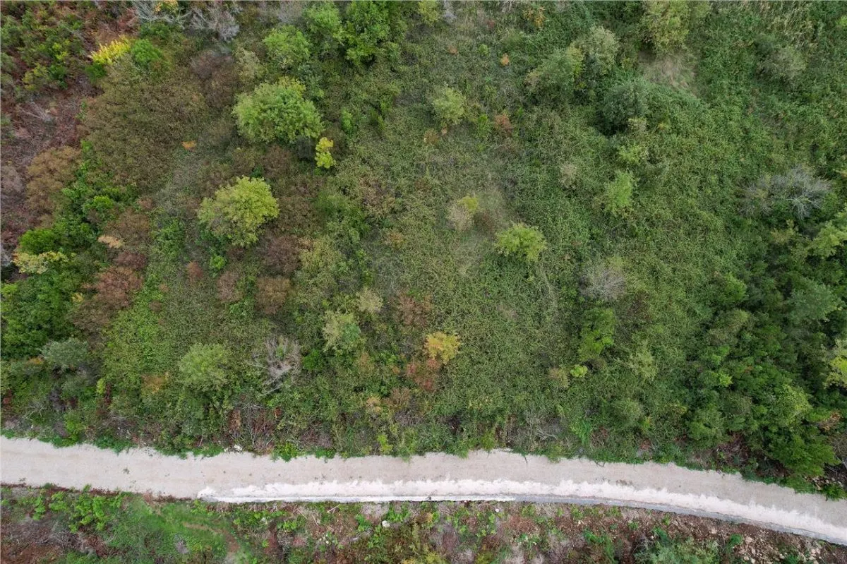 Land for Sale in Tivat - foto 10