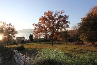 Land for Sale in Herceg-Novi - Herceg Novi