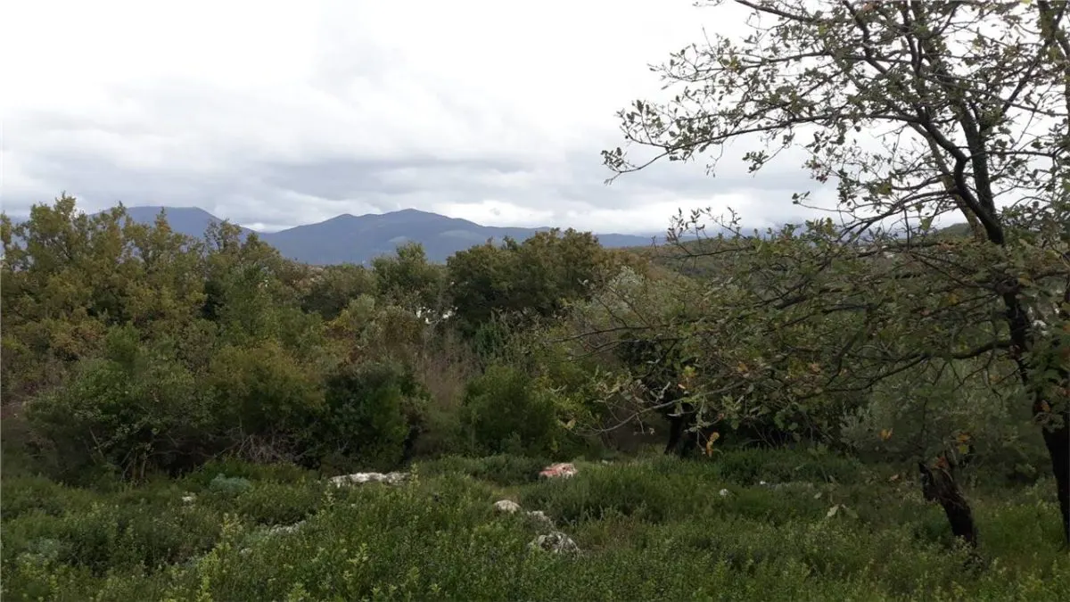 Land for Sale in Tivat - foto 2
