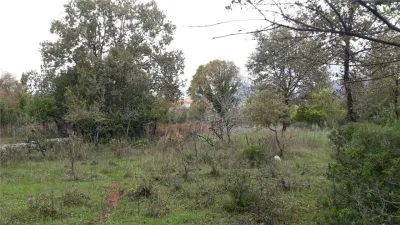 Land for Sale in Tivat - foto 4
