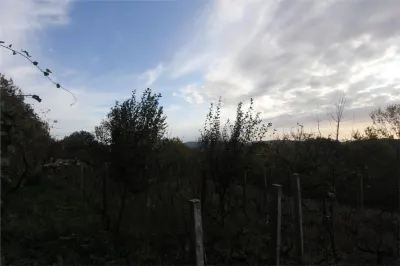 Land for Sale in Herceg-Novi - Herceg Novi