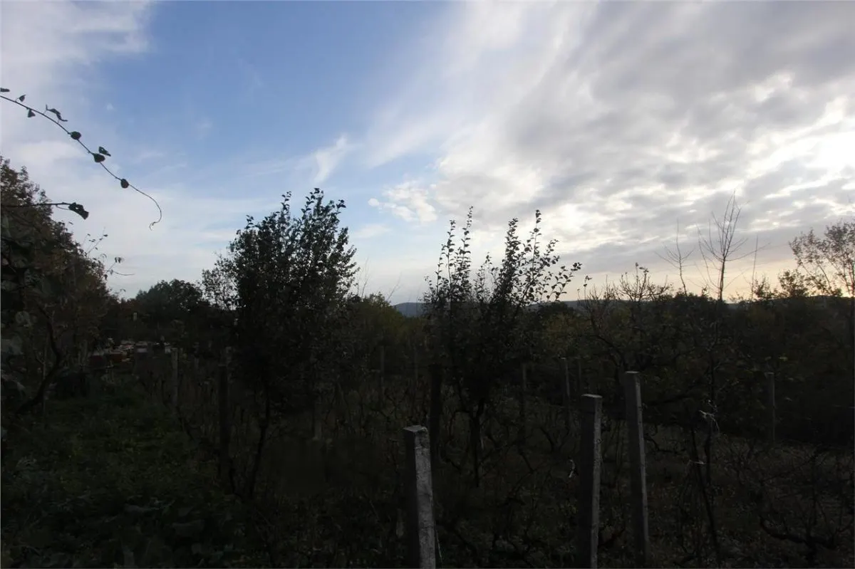 Land for Sale in Herceg-Novi - foto 1