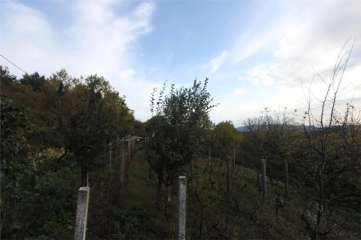 Land for Sale in Herceg-Novi - foto 2
