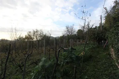 Land for Sale in Herceg-Novi - foto 3