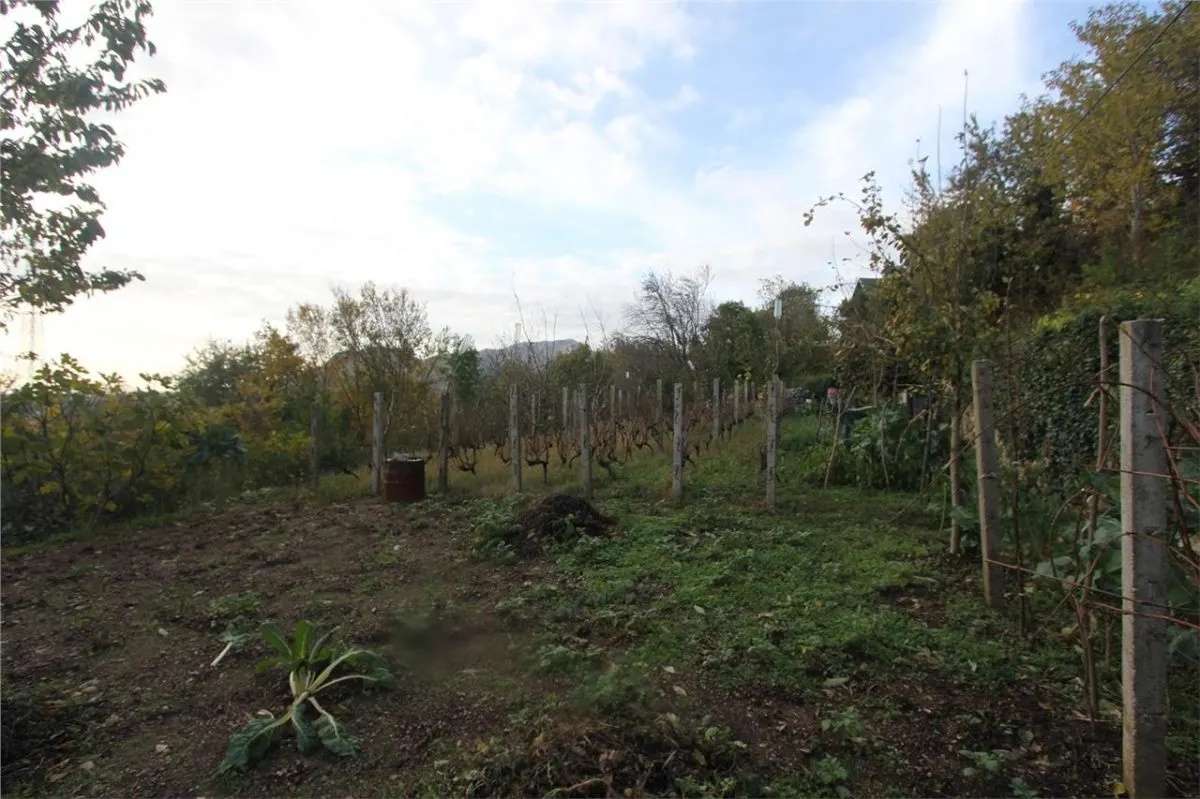 Land for Sale in Herceg-Novi - foto 4