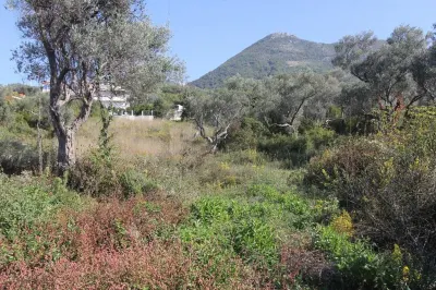 Land for Sale in Bar - Bar