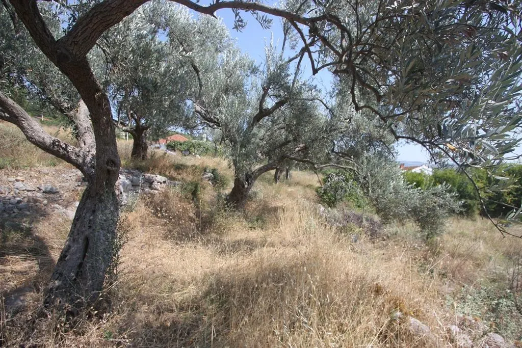 Land for Sale in Bar - foto 11