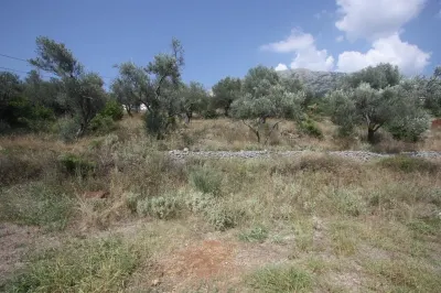 Land for Sale in Bar - foto 5