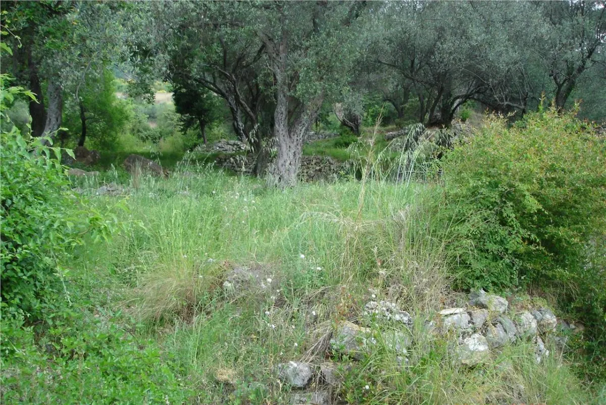 Land for Sale in Kotor - foto 4