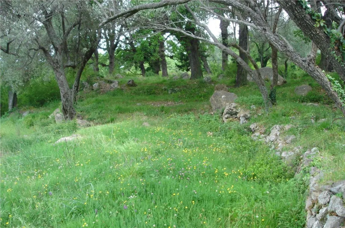 Land for Sale in Kotor - foto 6