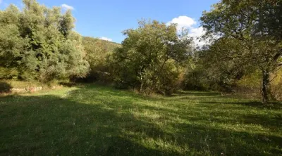 Land for Sale in Kotor - Kotor