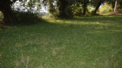 Land for Sale in Kotor - foto 6