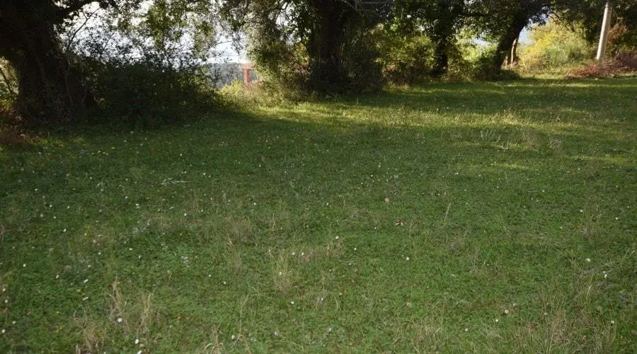 Land for Sale in Kotor - foto 6
