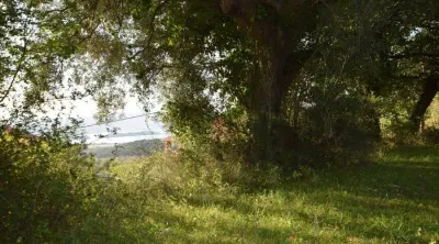 Land for Sale in Kotor - foto 7
