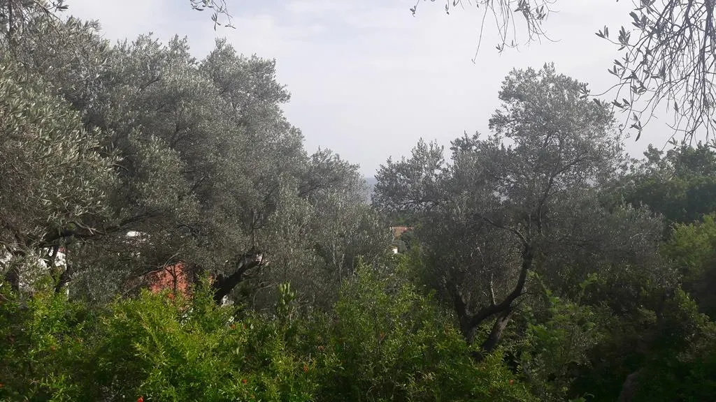Land for Sale in Budva - foto 2