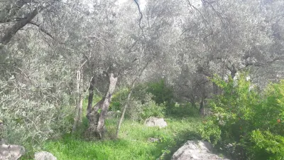 Land for Sale in Budva - foto 3