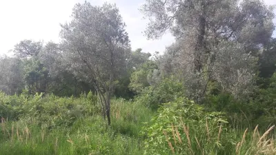 Land for Sale in Budva - foto 4