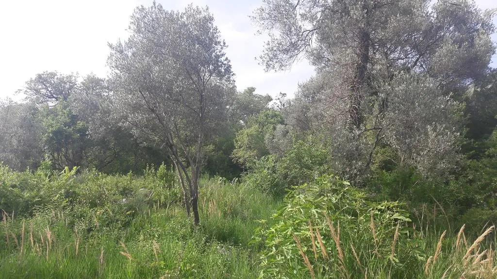 Land for Sale in Budva - foto 4