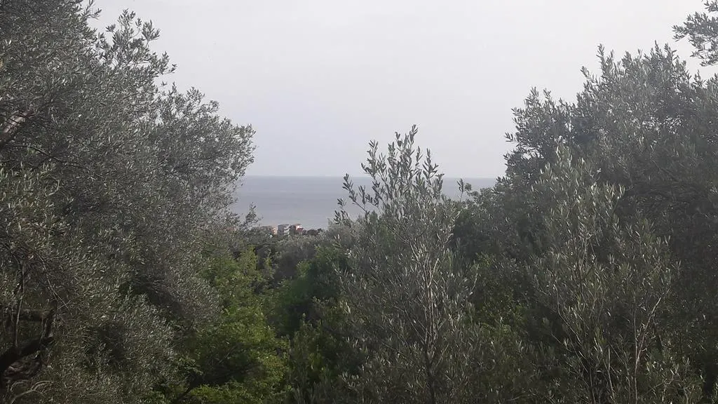 Land for Sale in Budva - foto 6