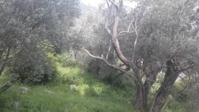 Land for Sale in Budva - foto 7