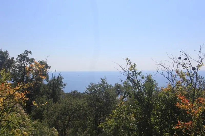 Land for Sale in Budva - foto 3