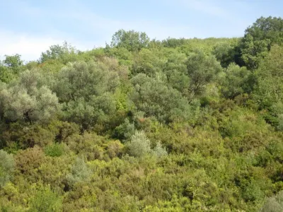 Land for Sale in Herceg-Novi - foto 2