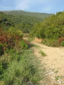 Land for Sale in Herceg-Novi - foto 3