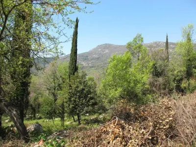 Land for Sale in Herceg-Novi - Herceg Novi