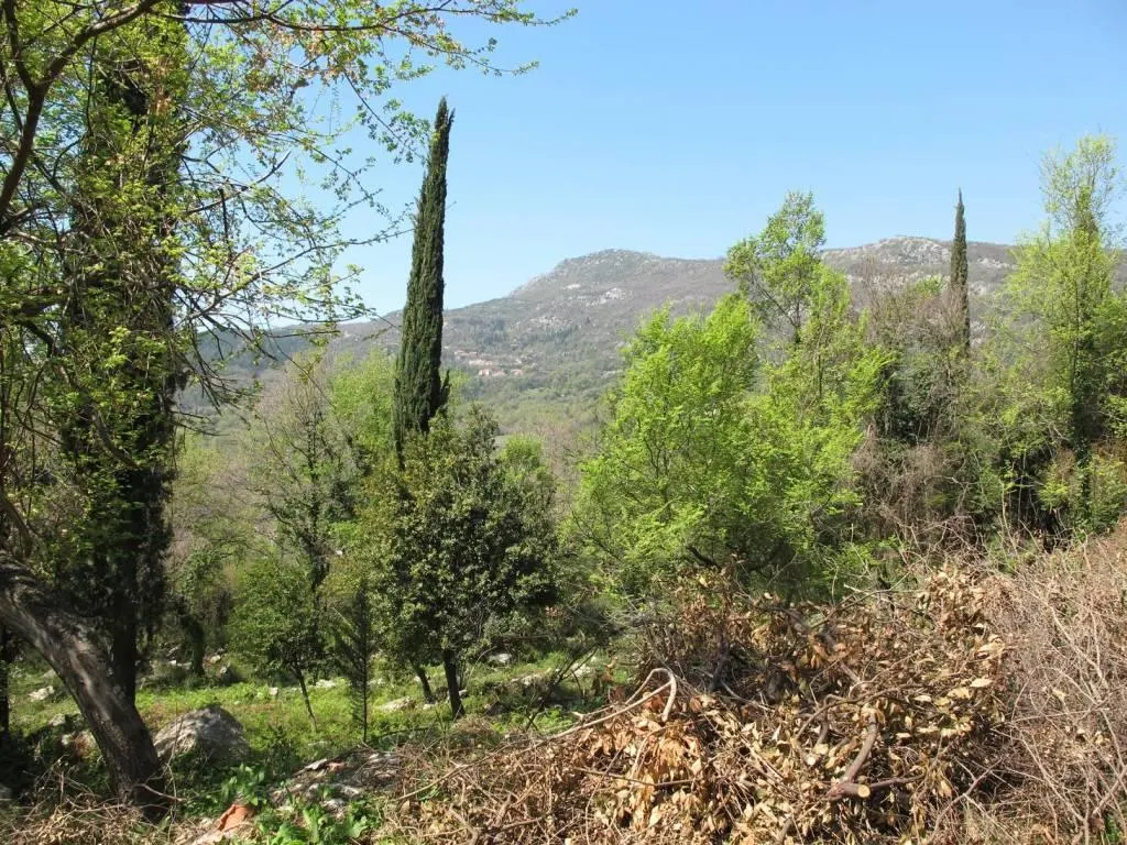 Land for Sale in Herceg-Novi - foto 1