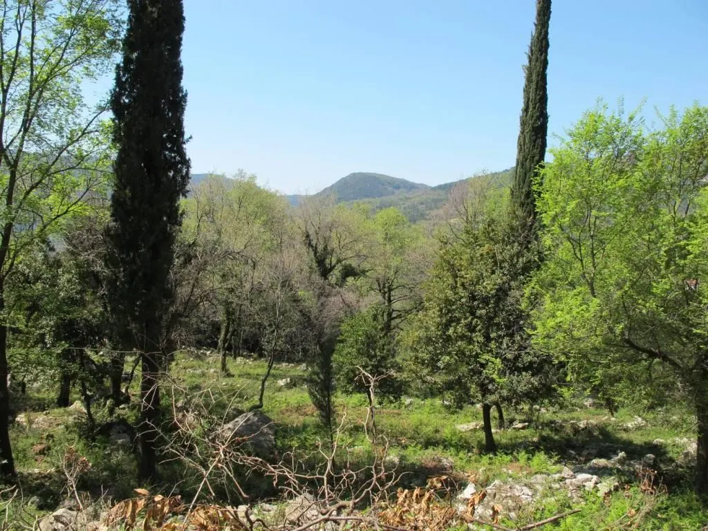 Land for Sale in Herceg-Novi - foto 2