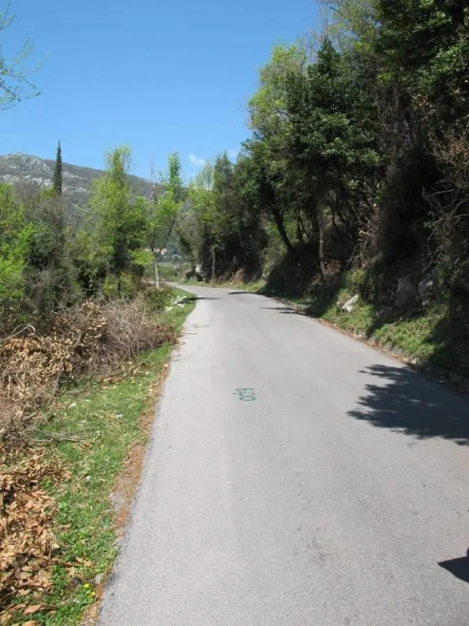 Land for Sale in Herceg-Novi - foto 3