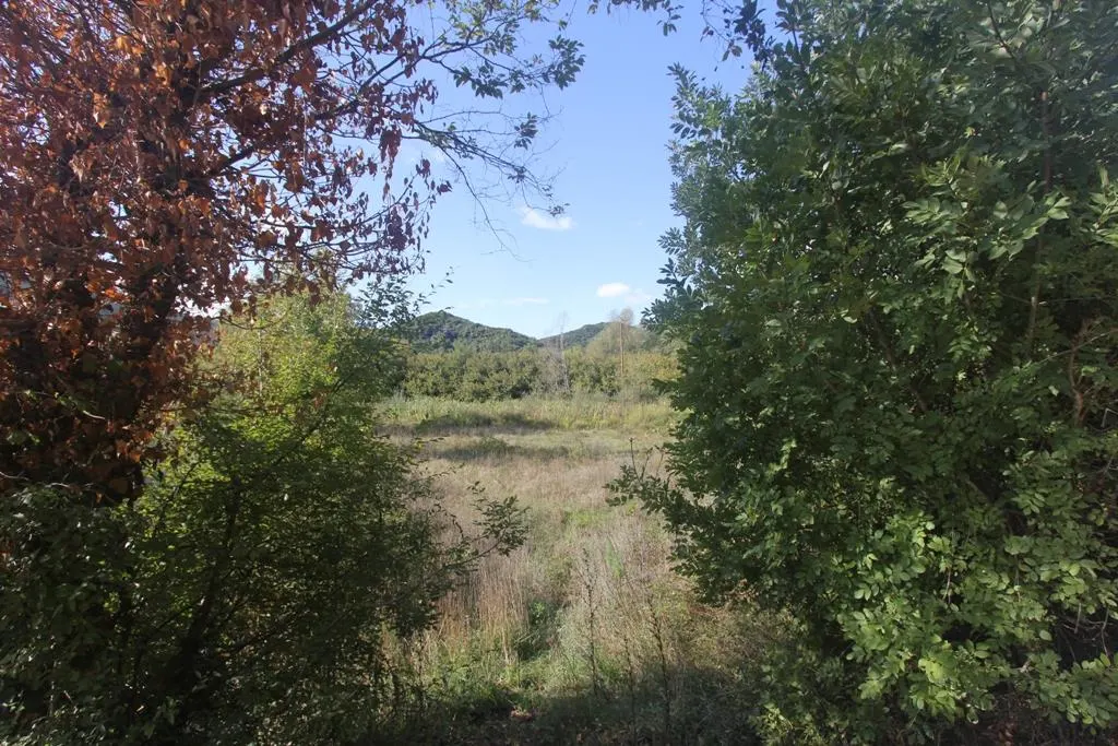 Land for Sale in Kotor - foto 4