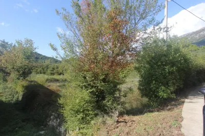 Land for Sale in Kotor - foto 7