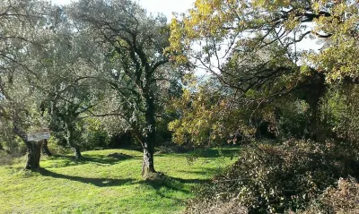 Land for Sale in Tivat - Tivat