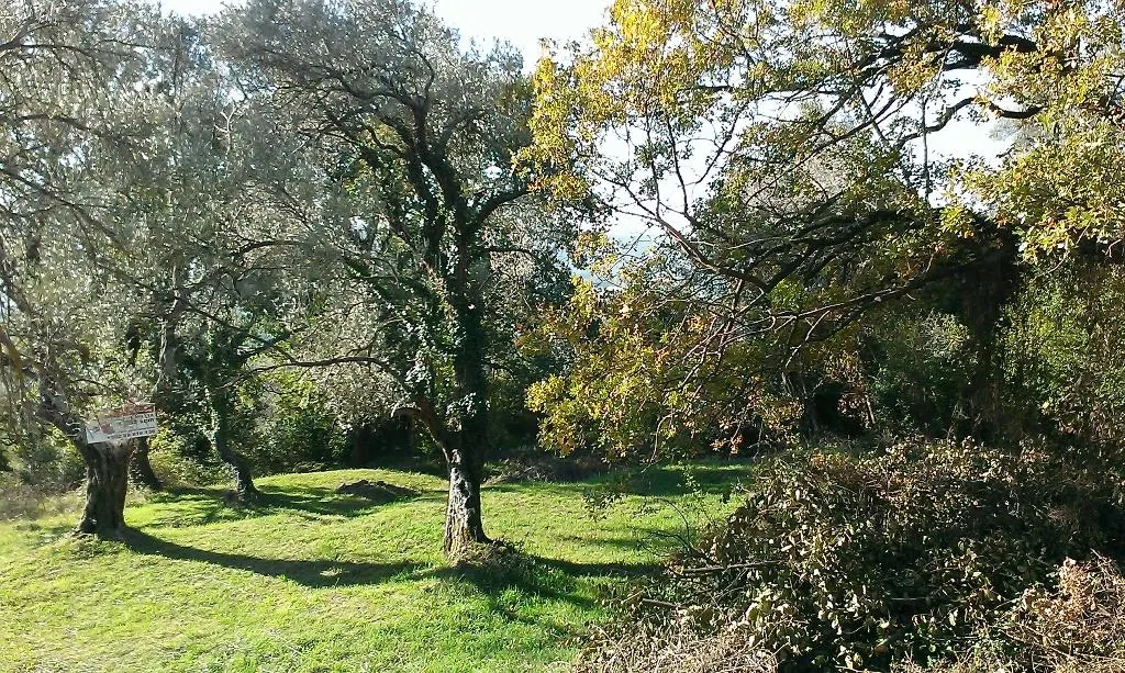 Land for Sale in Tivat - foto 1