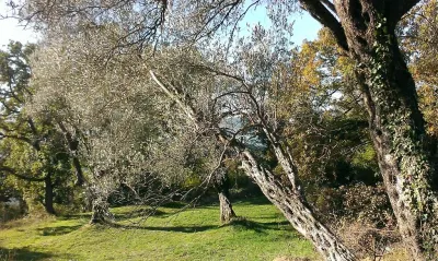 Land for Sale in Tivat - foto 2